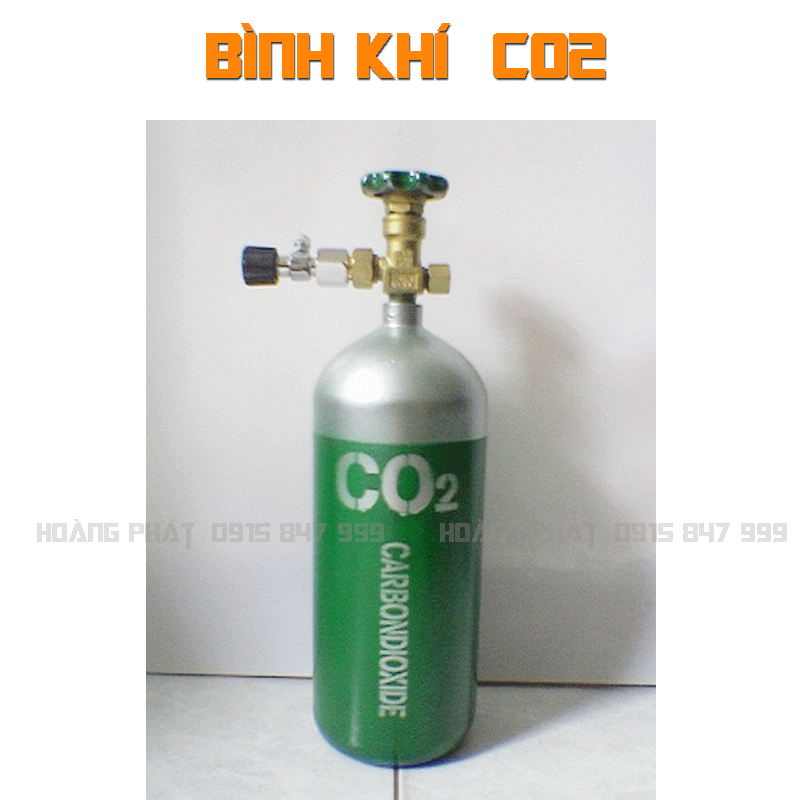 Bình-Co2-thủy-sinh