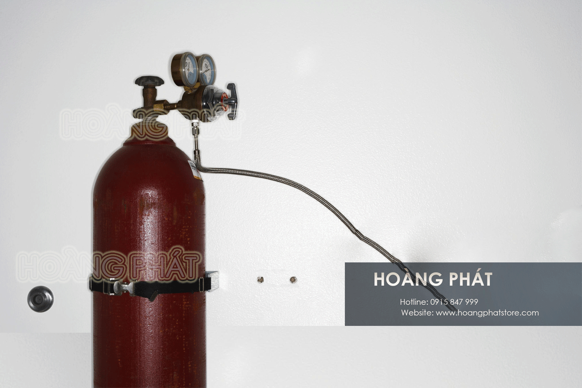 thuê-bình-CO2-quận-Gò-Vấp